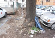 Via Gaspare Landi, centro storico di Piacenza: il degrado del parcheggio “abbandonato”